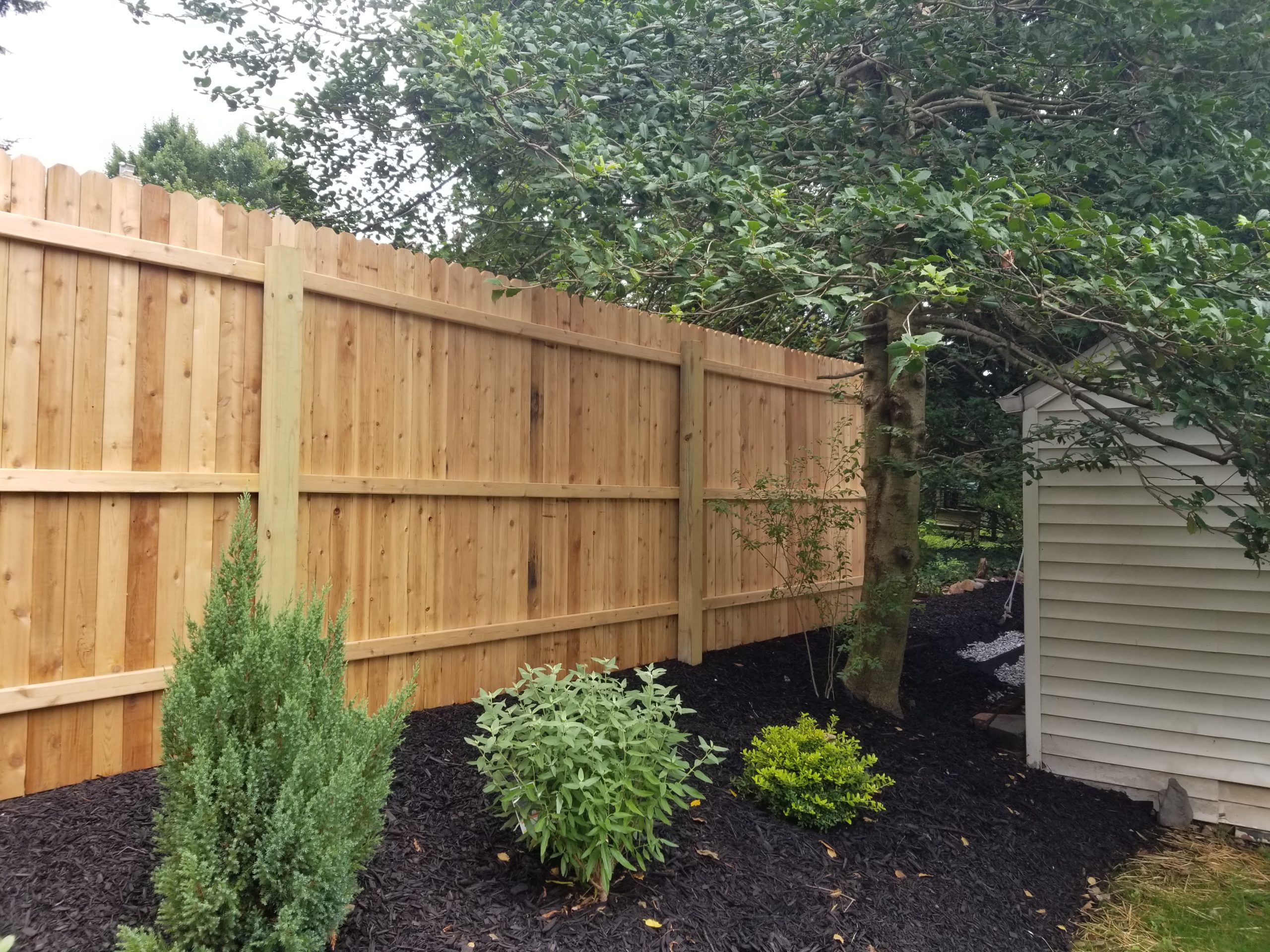 restored wooden fence surrounded by plants and trees in the backyard